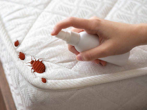 Best Residential Pest Control  in Elizabeth, NJ